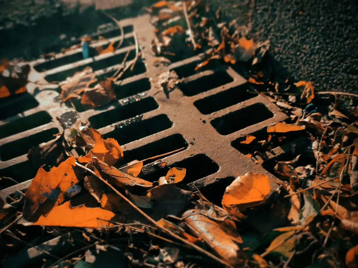 Drain Unblocking